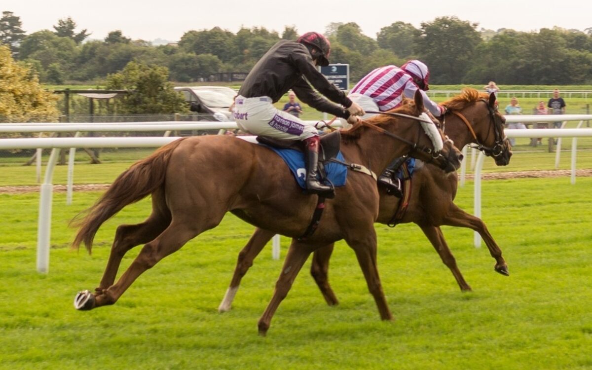 1468825601horse 996618 960 720 1468825601horse 996618 960 720